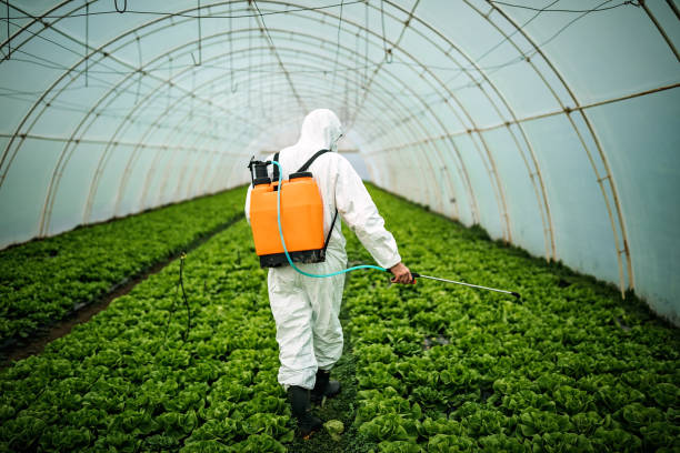 Best Pest Removal Services  in Massanetta Springs, VA