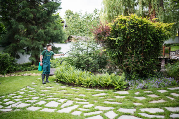 Best Ant Control Services  in Massanetta Springs, VA