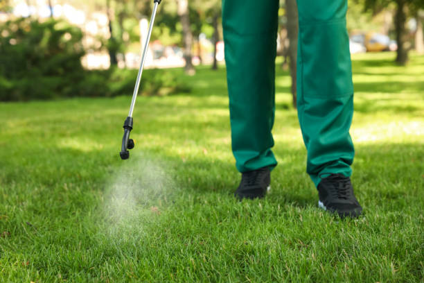 Reliable Massanetta Springs, VA Pest Control Solutions