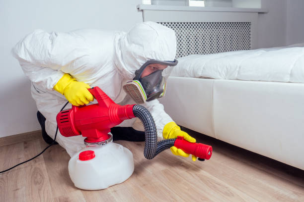 Best Best Pest Control Companies  in Massanetta Springs, VA